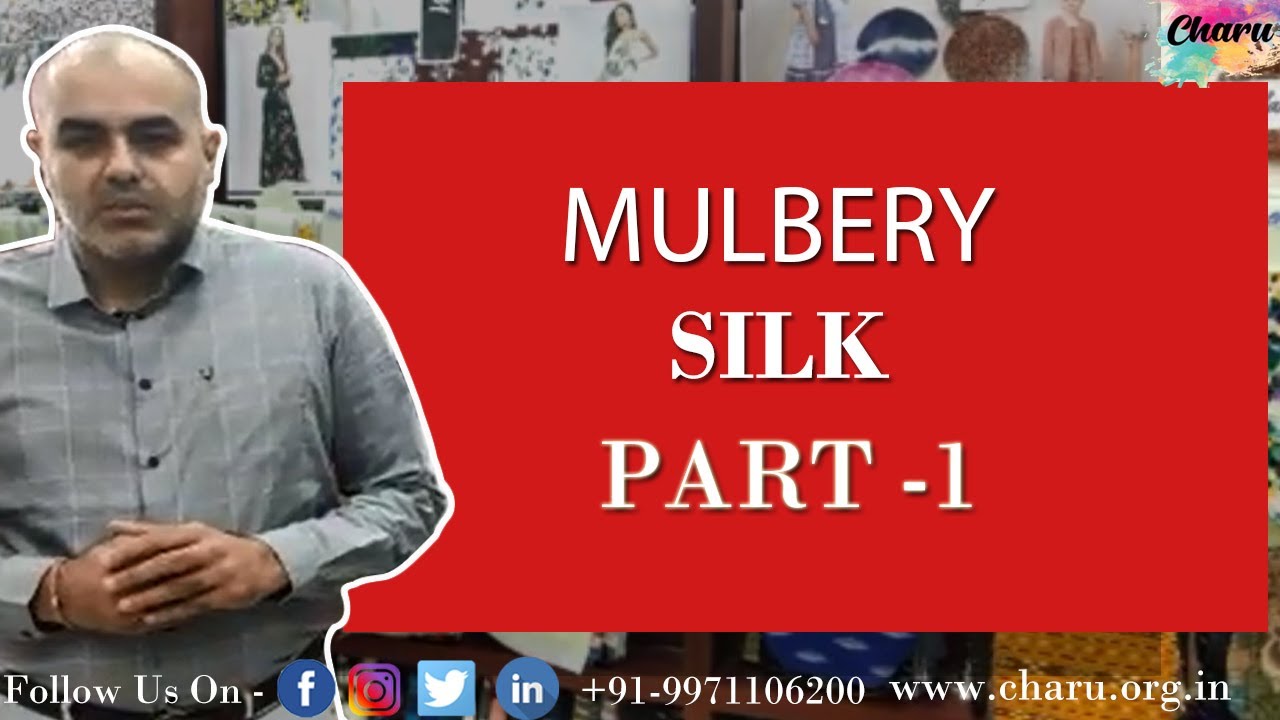 Know All About Mulberry Silk Buy Mulberry Silk From Charu Creation